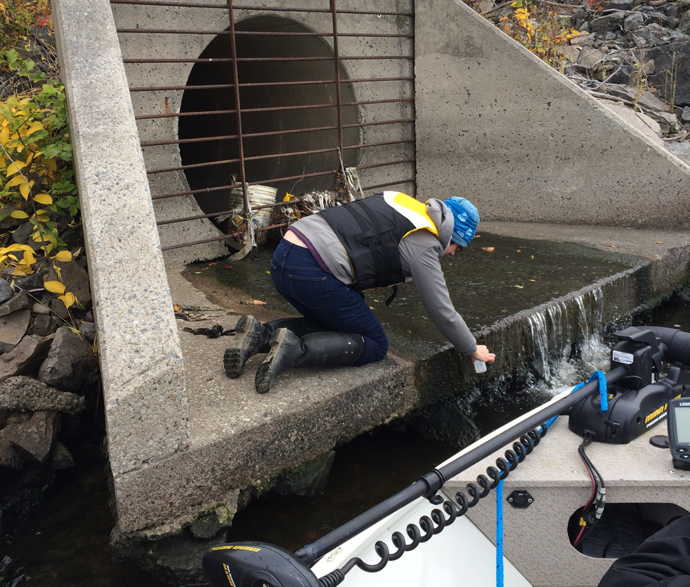 Testing the waters with the Riverkeepers - Water Rangers